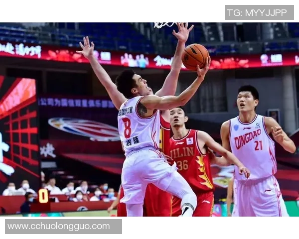 赵泰隆:从篮球新星到职业生涯的辉煌蜕变之路